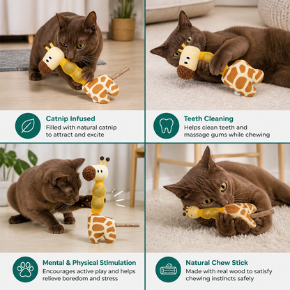 3-in-1 Dental Giraffe Cat Toy – Plush, Catnip Balls & Natural Chew Stick
