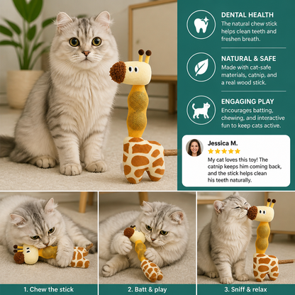 3-in-1 Dental Giraffe Cat Toy – Plush, Catnip Balls & Natural Chew Stick