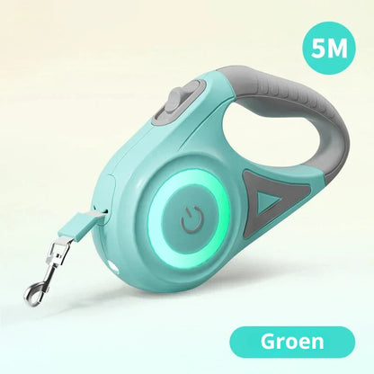 Dog Leash with Integrated LED Light