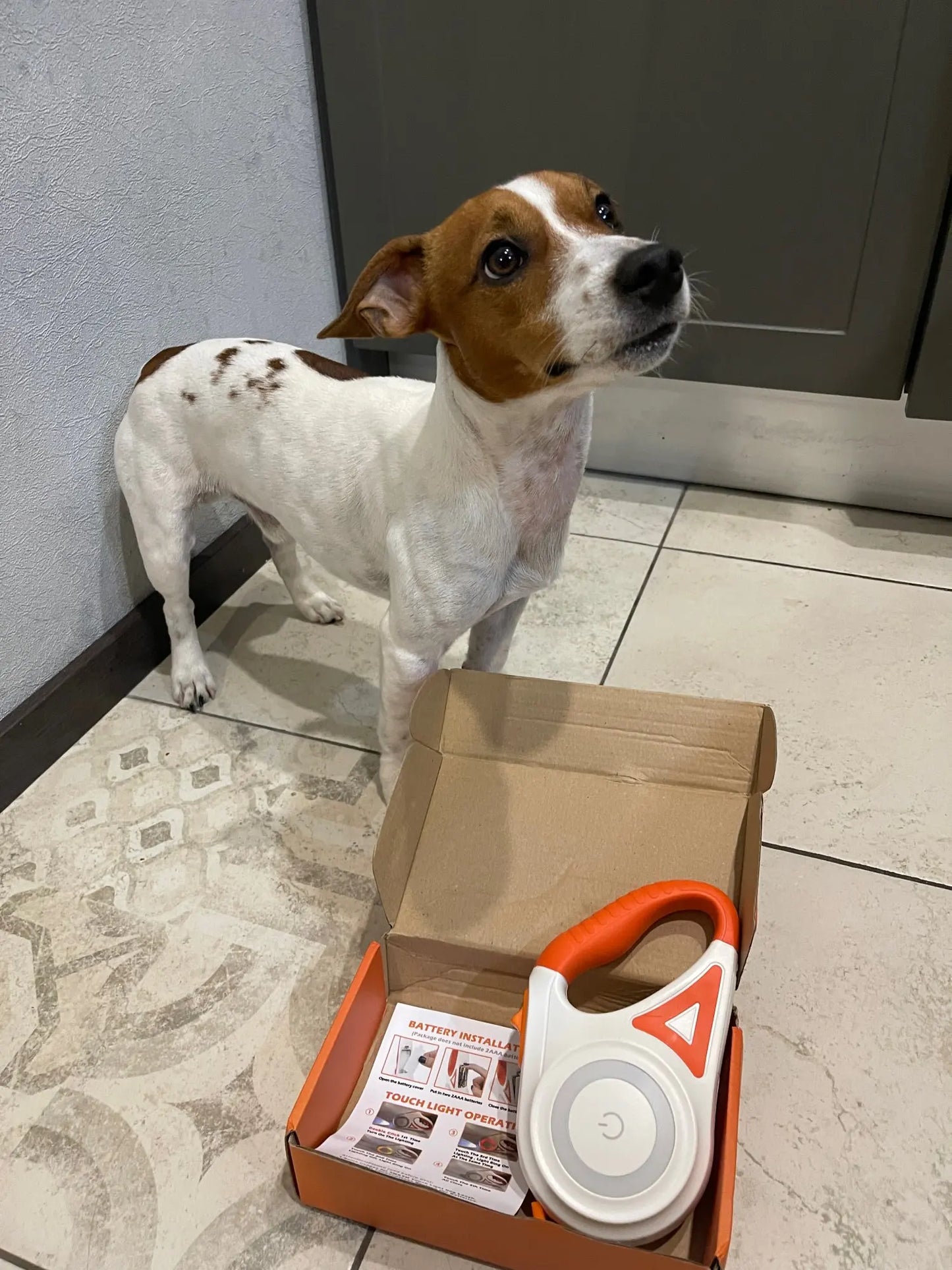 Dog Leash with Integrated LED Light