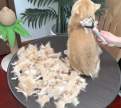 Pawthantics Dual-Groom Pro all pets detangling brush