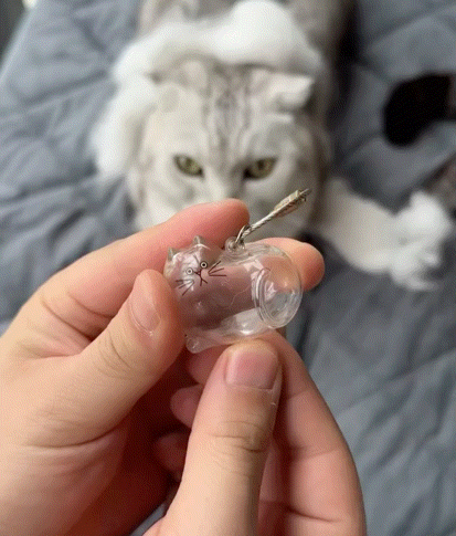 Forever Paw Pet Hair Keepsake Capsule Keychain