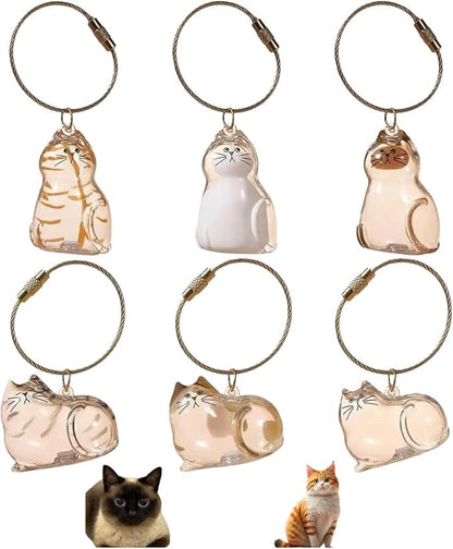 Forever Paw Pet Hair Keepsake Capsule Keychain 6 Pack