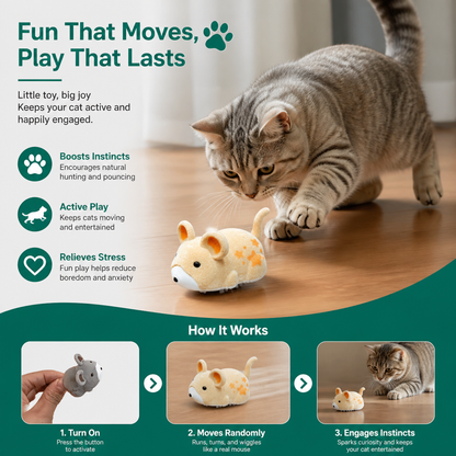 Active Hamster Indoor Cat Toy