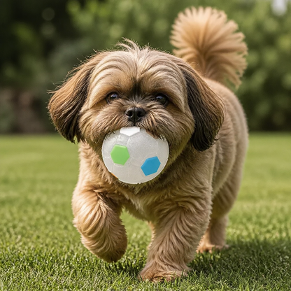Durable Toy Ball for Stress Relief for Dogs