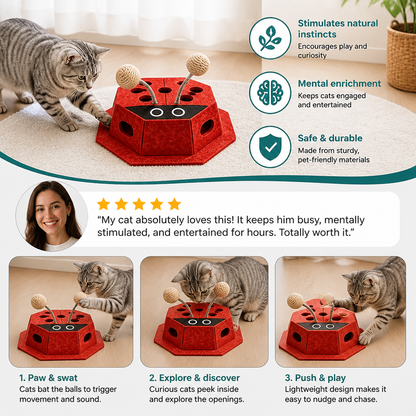 3in1 Interactive Ladybug Cat Puzzle Toy