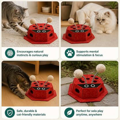 3in1 Interactive Ladybug Cat Puzzle Toy