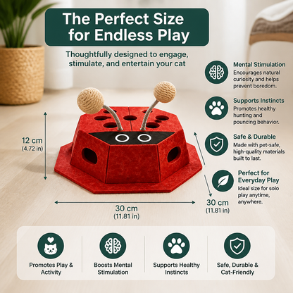 3in1 Interactive Ladybug Cat Puzzle Toy