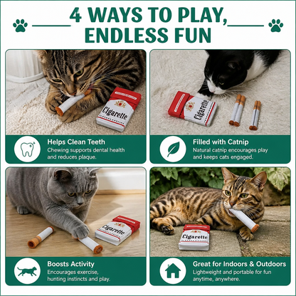 Cigarette Pack Catnip Toy Set for Interactive Cat Play
