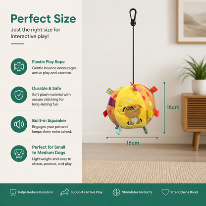 Interactive Hanging Dog Ball Toy with Elastic Play Rope & Hook