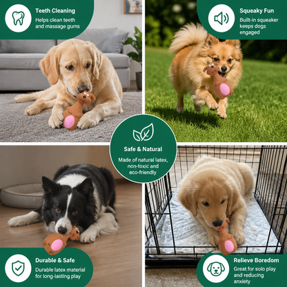 Durable Eco-Friendly Latex Squeaky Dental Dog Toy