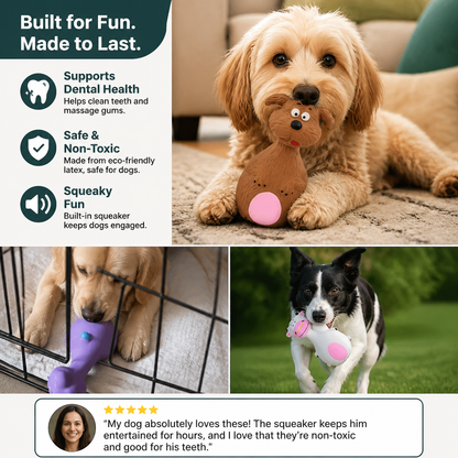 Durable Eco-Friendly Latex Squeaky Dental Dog Toy