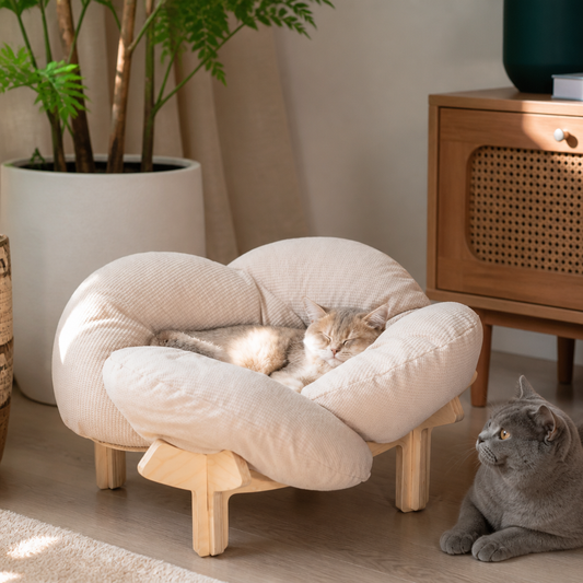 Luxury Elevated Wooden Flower Pet Bed with Plush Cushion