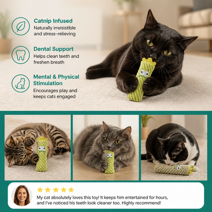 Catnip-Filled Cactus Teeth Cleaning Cat Toy