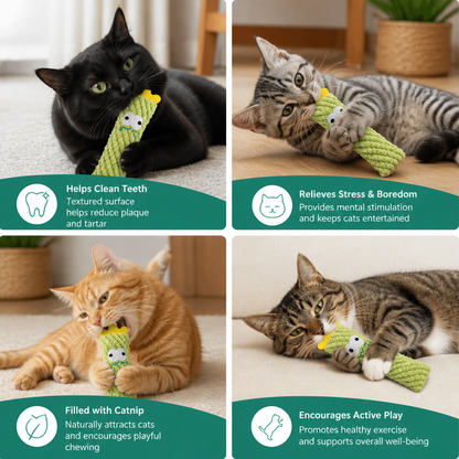 Catnip-Filled Cactus Teeth Cleaning Cat Toy