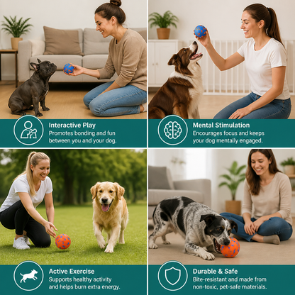 Eco-Friendly Bite-Resistant Smart Interactive Automatic Dog Ball