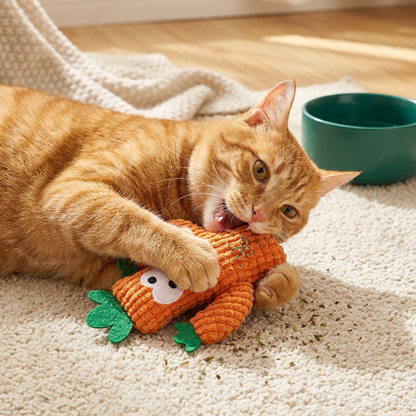 Catnip-Filled Cactus Teeth Cleaning Cat Toy