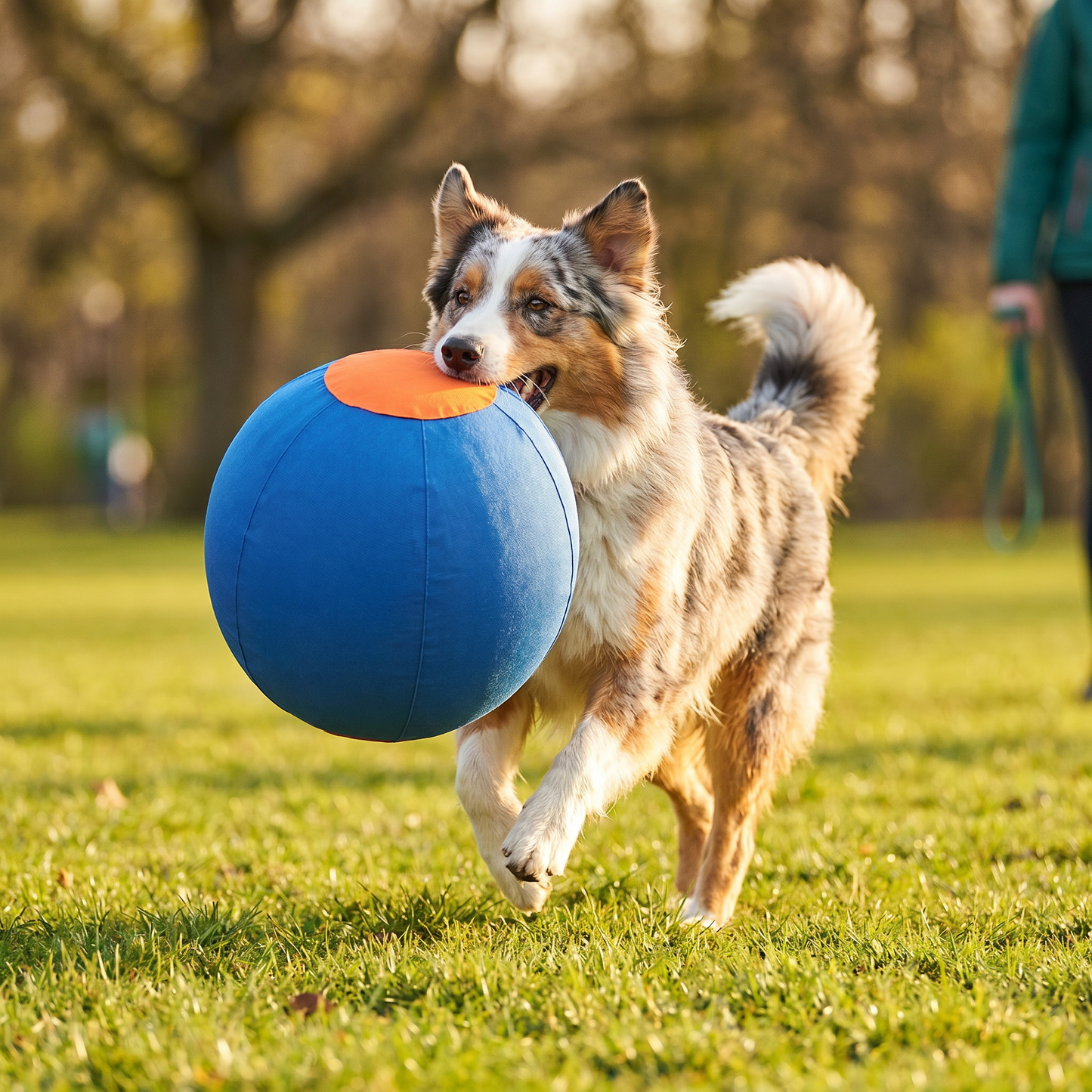 Durable training ball with cover for dogs