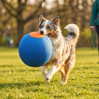 Durable training ball with cover for dogs