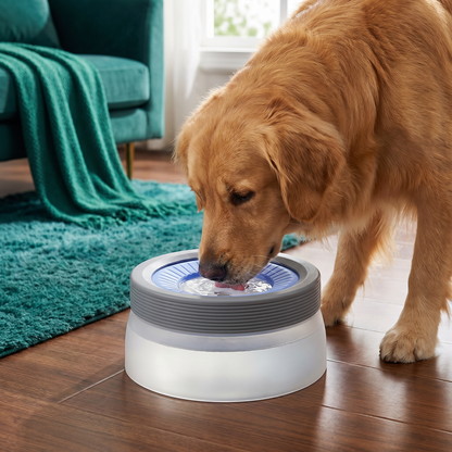 No-Spill Dog Water Bowl
