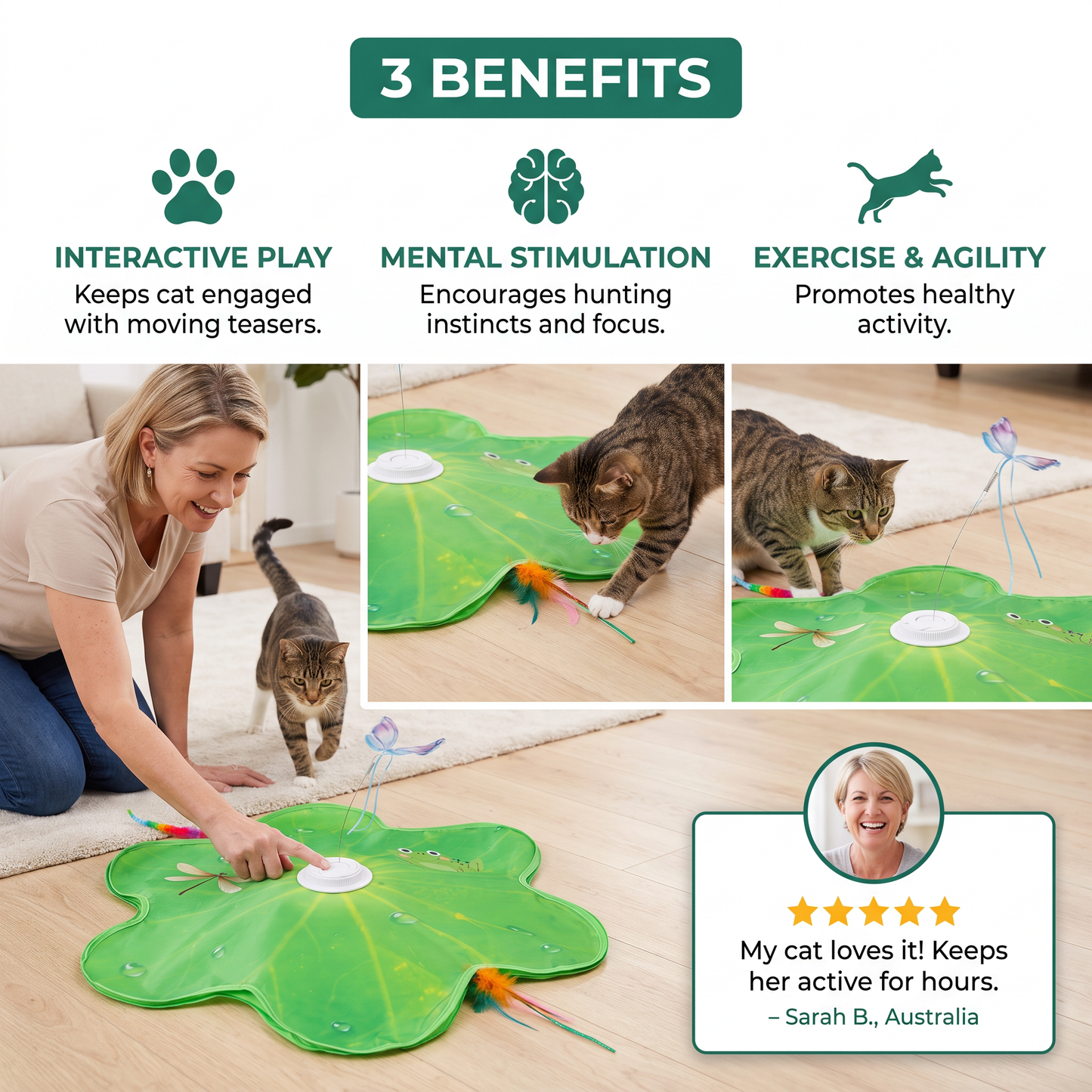 3-in-1 Interactive Butterfly Cat Toy – Play Mat with Butterfly & Feather Teasers