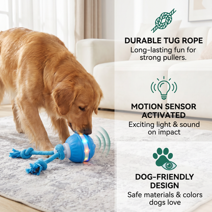 Durable Dog Play Ball with Motion Sensor and Tug Rope in Dog-Friendly Colours