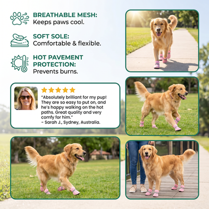 Breathable Mesh Dog Shoes for Hot Days – Soft Sole for Small & Large Dogs