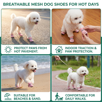 Breathable Mesh Dog Shoes for Hot Days – Soft Sole for Small & Large Dogs