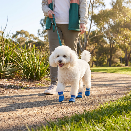 Breathable Mesh Dog Shoes for Hot Days – Soft Sole for Small & Large Dogs