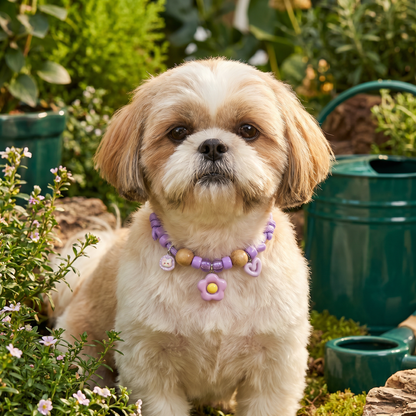 Cute collar with insect repellent for dogs