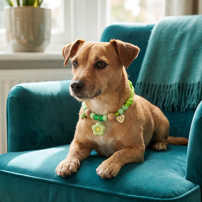 Cute collar with insect repellent for dogs
