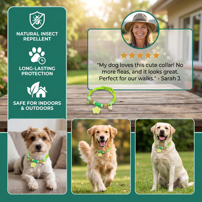 Cute collar with insect repellent for dogs