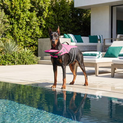 Dog Safety Swim Vest with Rescue Handle