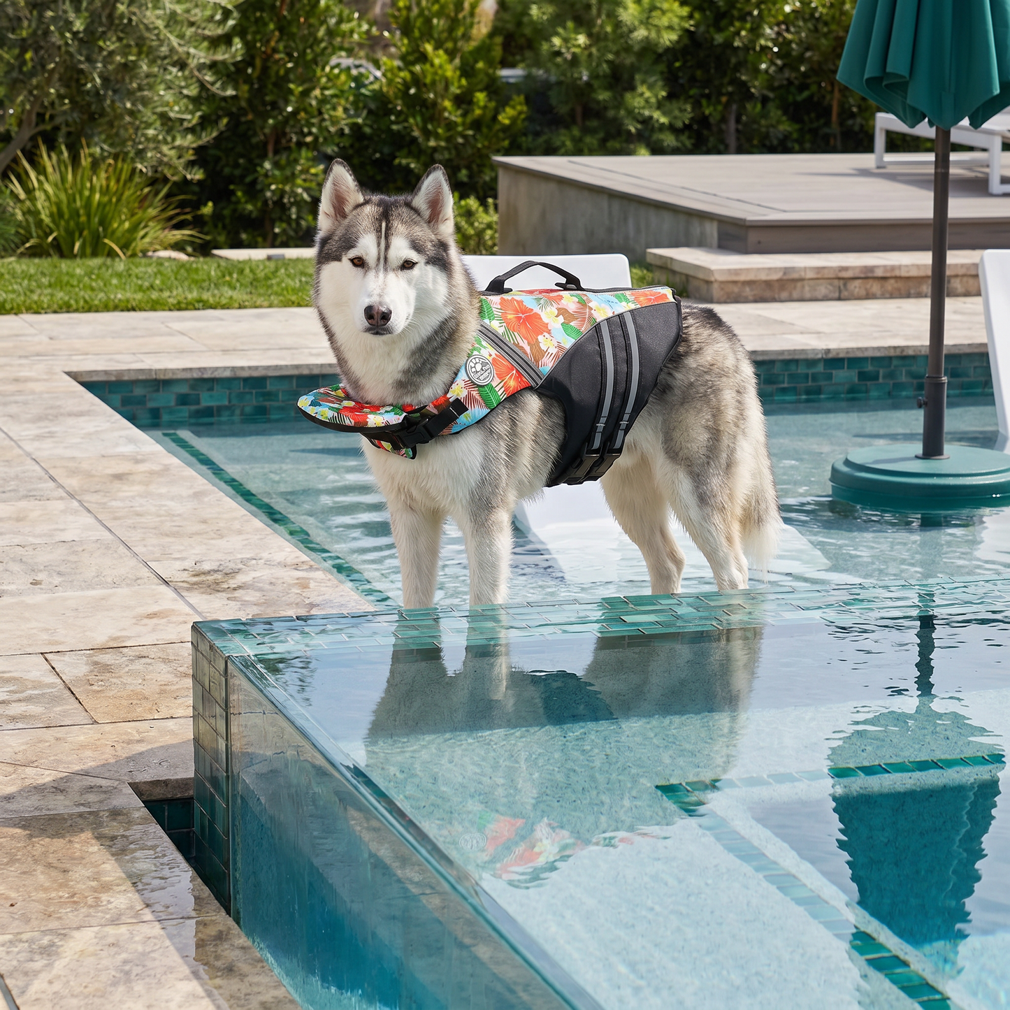 Dog Safety Swim Vest with Rescue Handle