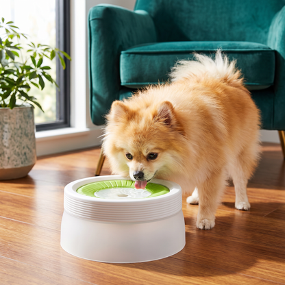 No-Spill Dog Water Bowl