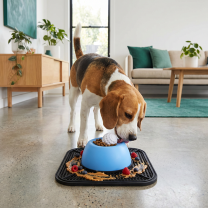 2in1 Slow Feeder Dog Bowl with Lick Mat