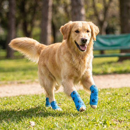Self-Adhesive Pet Bandage Wrap for Hot Pavement & Snow Protection