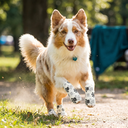 Self-Adhesive Pet Bandage Wrap for Hot Pavement & Snow Protection