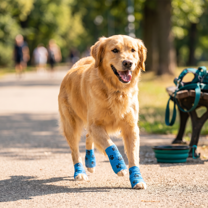 Self-Adhesive Pet Bandage Wrap for Hot Pavement & Snow Protection