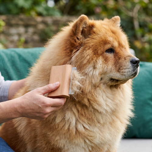 2-in-1 Pet Grooming & Hair Removal Comb for Fur, Furniture & Fabrics