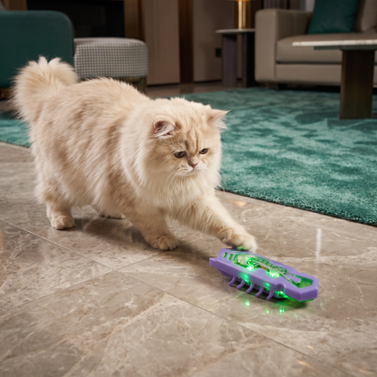 Interactive Electric Beetle Cat Toy with LED Lights and Automatic Moving Action