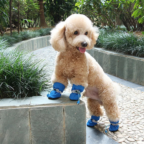 Dog Paw Shoes for Winter