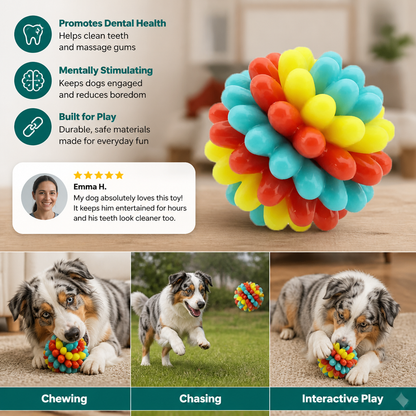 Colourful Bumpy Dog Chew Ball
