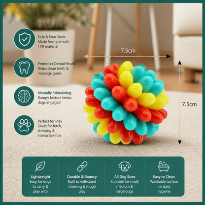Colourful Bumpy Dog Chew Ball