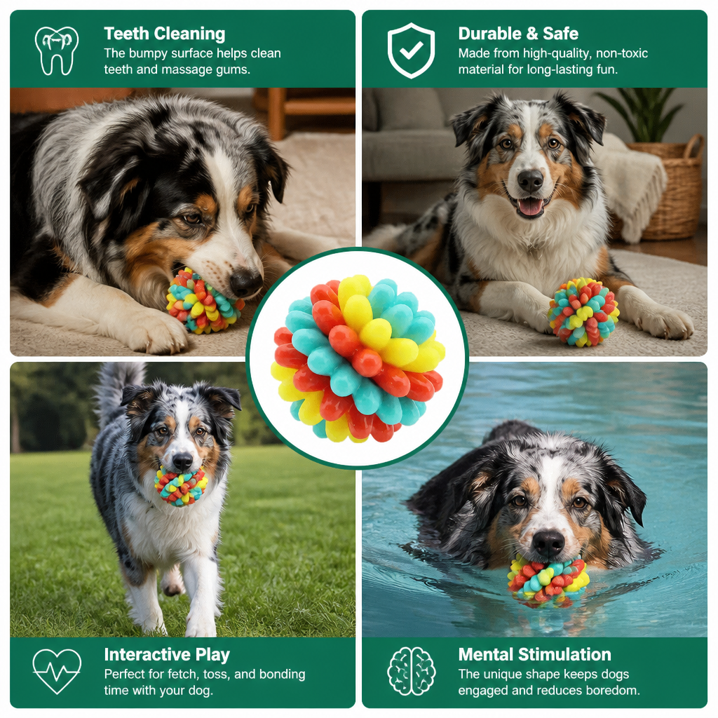 Colourful Bumpy Dog Chew Ball