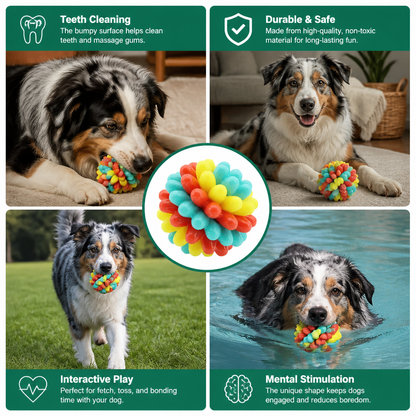 Colourful Bumpy Dog Chew Ball