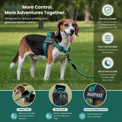 Personalized Reflective No-Pull Dog Harness with Custom Name Patch