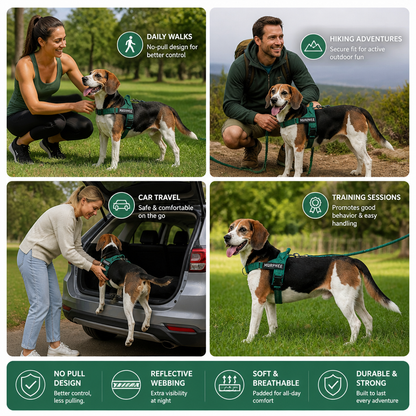 Personalized Reflective No-Pull Dog Harness with Custom Name Patch