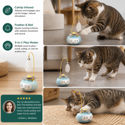 3in1 Interactive Catnip Cat Toy with Feather Wand & Bell