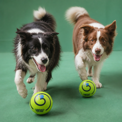 Interactive Squeaky Wobble Dog Ball – Durable Self-Play Toy